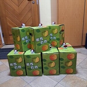 Apfelsaft für den Kindergarten und Krippe