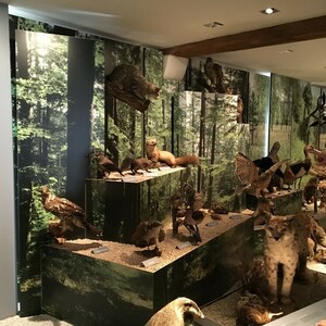 Naturbegegnungstag im Museum im Zehentstadel in Nabburg