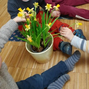 Der Frühling ist da