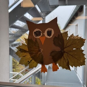 Naturtage im Oktober 