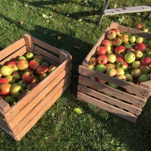 Ein herzliches Vergelts Gott