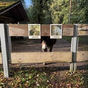 Naturbegegnungstag im Wild-und Freizeitpark Höllohe